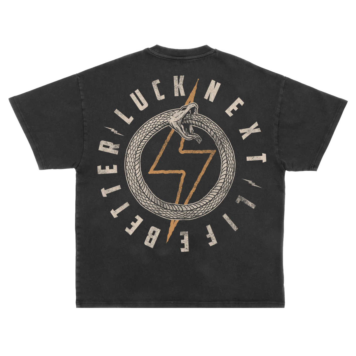 BETTER LUCK NEXT LIFE "OROBOROUS" OVERSIZED HEAVYWEIGHT TEE (Acid Wash/Multi)