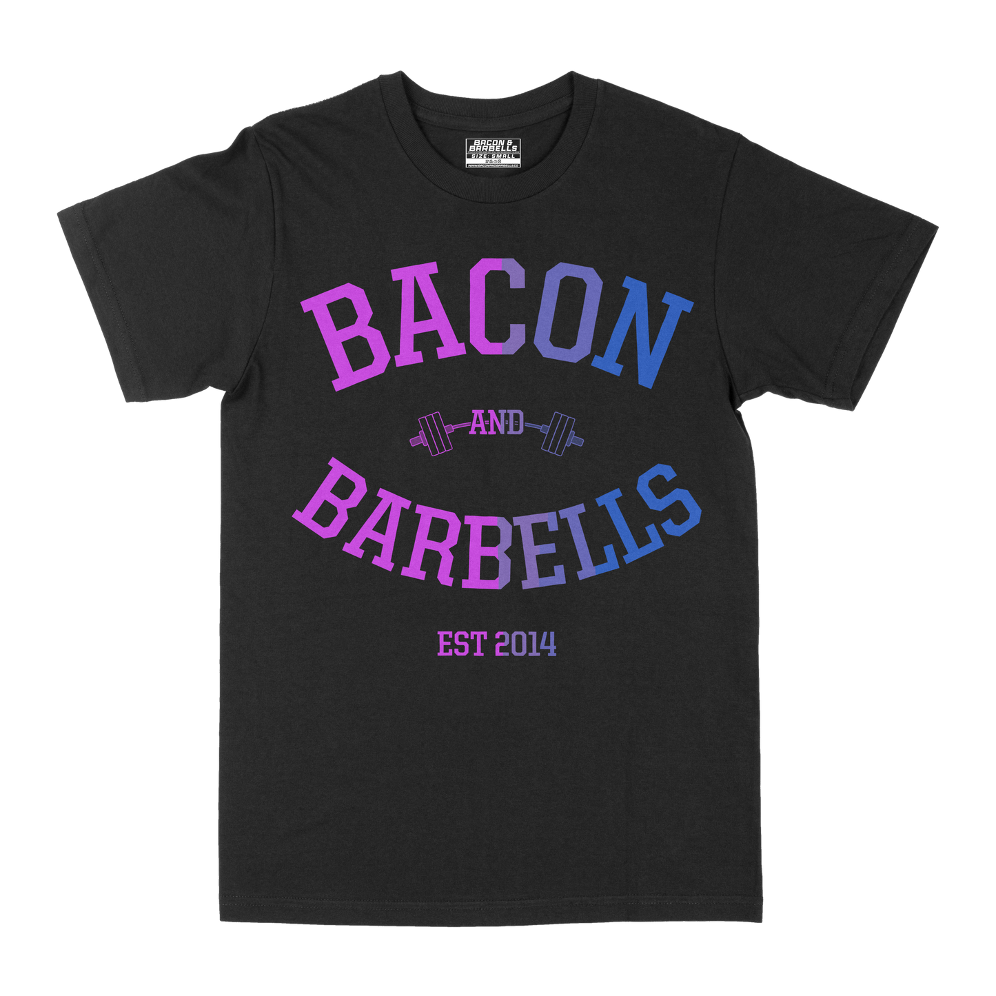 OG LOGO "GRADIENT" TEE (Multi/Black)